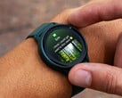Компания Garmin включила ещё три модели смарт-часов в свою программу разработки v18.xx.