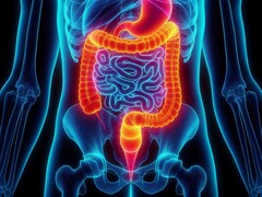 Энтеральная вентиляция впервые была успешно протестирована на людях. (Источник изображения: David_SMC via Pixabay)