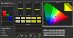 Calman ColorChecker: DCI-P3 - saturation