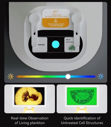 Darwin MX Pro имеет регулируемое окрашивание образцов светом RGB, что позволяет с легкостью увидеть внутренние структуры. (Источник изображения: BeaverLab на Kickstarter)