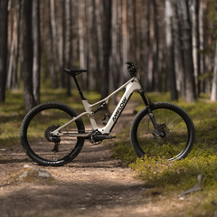 Модель Amflow TL Carbon оснащена двигателем со средним приводом Avinox M2 от DJI