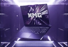 Больше вариантов начального уровня для бюджетных геймеров. (Источник изображения: XMG)