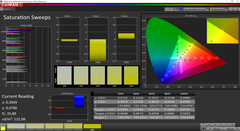 CalMAN saturation (SureView вкл.)