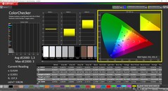 CalMAN ColorChecker (профиль: sRGB, целевое цветовое пространство: sRGB)