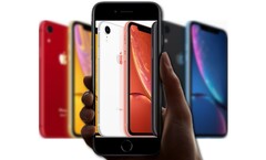 Будущий iPhone SE может быть сильно схож внешне с Apple iPhone XR (Изображение: Apple - редактировано)