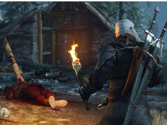 Изображение игры Witcher 3: Wild Hunt на сайте Steam. (Источник изображения: Steam) 