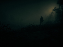 Скриншот Red Dead Redemption 2 на ПК (источник изображения: Steam Community)