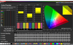 CalMAN: Colour Accuracy – Усиленный, DCI-P3