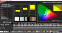 CalMAN - ColorChecker