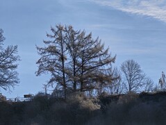 10-кратное увеличение