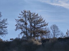 10-кратное увеличение