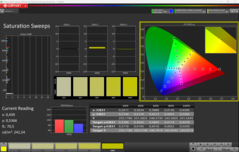Насыщение CalMAN