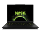 Пользователи могут ожидать от мобильной RTX 5080 примерно той же производительности, что и от мобильной RTX 4090 (Источник изображения: Schenker)