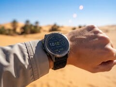 У модели Garmin Enduro 3 (изображённой на фотографии) в скором времени может появиться серьёзный конкурент.