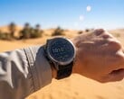 У модели Garmin Enduro 3 (изображённой на фотографии) в скором времени может появиться серьёзный конкурент.