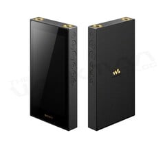 Sony Walkman NW-ZX900 унаследовал дизайн ZX707, но немного крупнее.
