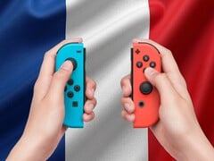Контроллеры Switch Joy-Con показаны с французским флагом