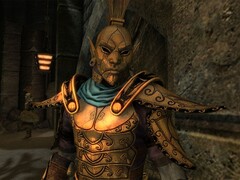 Изображение из игры The Elder Scrolls V: Skyrim Anniversary Upgrade. (Источник изображения: Steam)