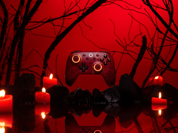 (Источник изображения: 8BitDo)