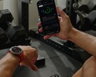 Смарт-часы Balance 2 от Amazfit (на фото) получили очередное обновление. (Источник изображения: Amazfit)