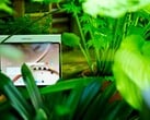 OnePlus 4 — отличный планшет, однако срок его поддержки оставляет желать лучшего.