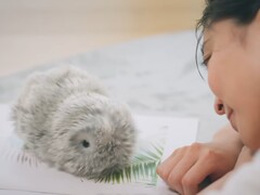 Как сообщается, Мофлин от Casio может выражать 4 миллиона различных черт характера и моделей поведения. (Источник изображения: Casio через YouTube)