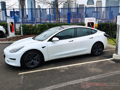 Tesla Model 3 на станции Supercharger. (Источник изображения: Notebookcheck)