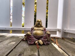 Запись с помощью камеры selfie