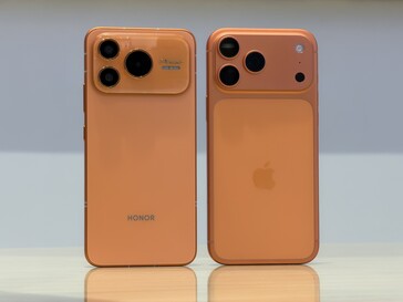 Сходство преобладает на спине.