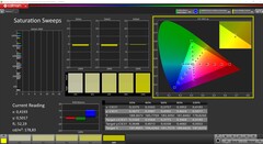 CalMAN Saturation Sweeps (профиль sRGB, целевое пространство sRGB)