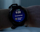 Модели Forerunner 570 и Forerunner 970 одновременно получили одно и то же бета-обновление, последнее на фото. (Источник изображения: Garmin)