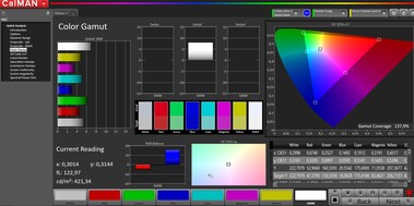 CalMAN sRGB color space