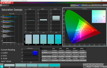 CalMan saturation sweeps (sRGB)