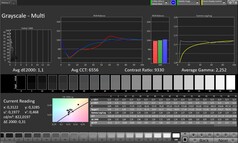 Градации серого (цветовой режим: Профессиональный, целевое цветовое пространство: sRGB)