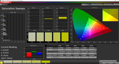 CalMAN saturation