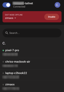 Tailscale на смартфоне