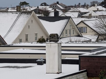 Pixel 9 Pro - 10-кратный зум (Источник изображения: Notebookcheck)