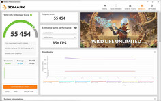 3DMark Wild Life unlimited