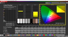 CalMAN ColorChecker (профиль: sRGB, целевое цветовое пространство: sRGB)