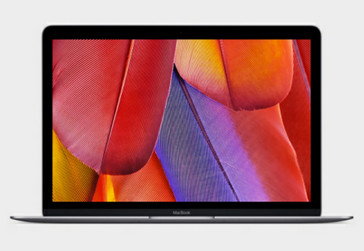 Macbook (2015). Изображение: Apple