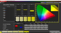 CalMAN saturation (DCI-P3)