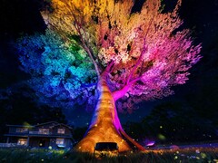 Светильники для наружных деревьев Govee (на фото) будут выпущены в сентябре 2025 года. (Источник изображения: Govee)