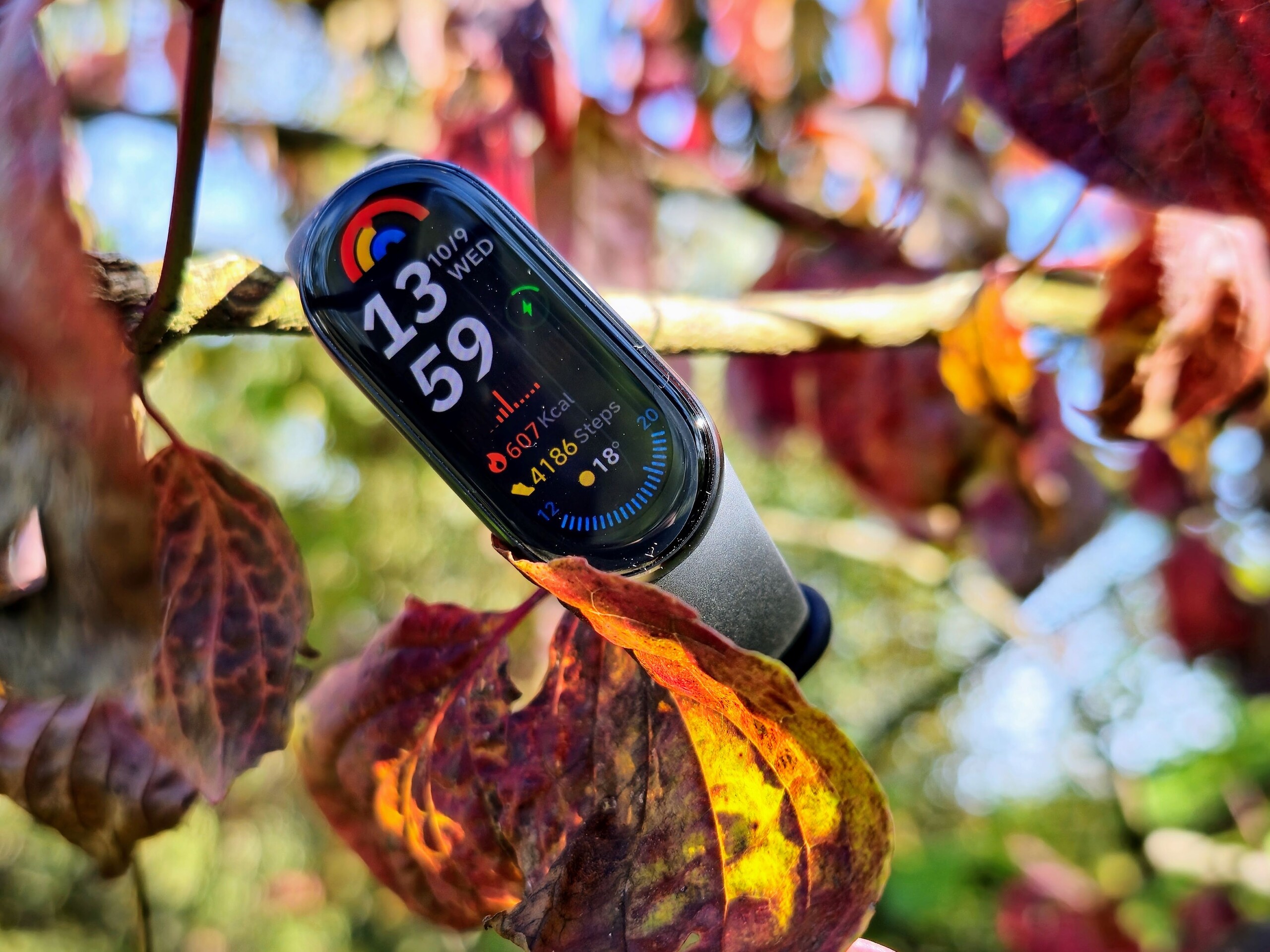 Smartband 2018 sales