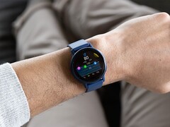 Смарт-часы Garmin Venu 3 (вверху) и vivoactive 5 обновляются. (Источник изображения: Garmin)