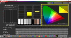 CalMAN ColorChecker (профиль: sRGB, целевое цветовое пространство: sRGB)