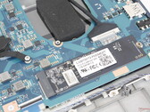 SSD и процессор имеют ограниченное охлаждение, вероятно, из-за очень низкого веса ноутбука Dynabook (Источник изображения: Notebookcheck)
