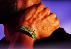 Ожидается, что компания Garmin в ближайшее время выпустит альтернативу представленному здесь устройству Polar Loop.