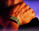 Ожидается, что компания Garmin в ближайшее время выпустит альтернативу представленному здесь устройству Polar Loop.