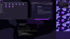 В Rhino Linux 2026.1 реализована поддержка Lomiri на настольных и мобильных компьютерах