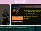 Grey Fox выступает с докладом на DEFCON 33 (Источник изображения: RF Hackers Sanctuary)
